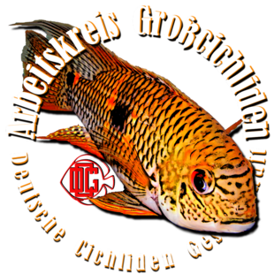 Unser Logo
